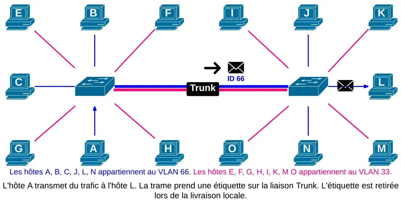 Schéma réseau montrant des ordinateurs connectés à des commutateurs via une liaison Trunk. L'hôte A communique avec L.