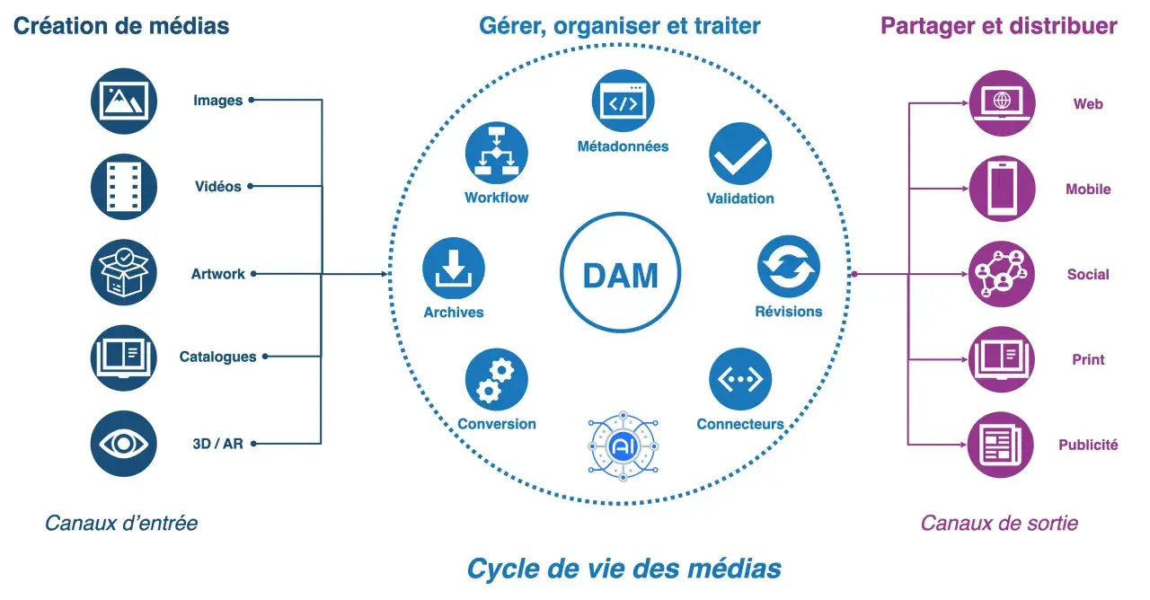 Schéma illustrant le cycle de vie des médias, de la création à la distribution, centré sur un système DAM.