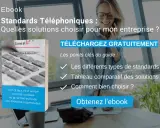 Ebook "Standards Téléphoniques" expliquant la définition et le choix d'une solution pour votre entreprise.