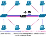 Schéma réseau montrant des ordinateurs connectés à des commutateurs via une liaison Trunk. L'hôte A communique avec L.