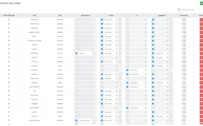 Interface de gestion des index d'une entreprise. Ce plan de classement exemple liste les champs, leurs types et options de tri.