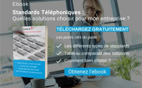 Ebook "Standards Téléphoniques" expliquant la définition et le choix d'une solution pour votre entreprise.