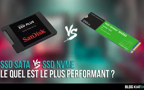 Comparaison entre un SSD SATA SanDisk et un SSD NVMe WD Green. La **SSD définition** est ici illustrée par deux technologies de stockage.