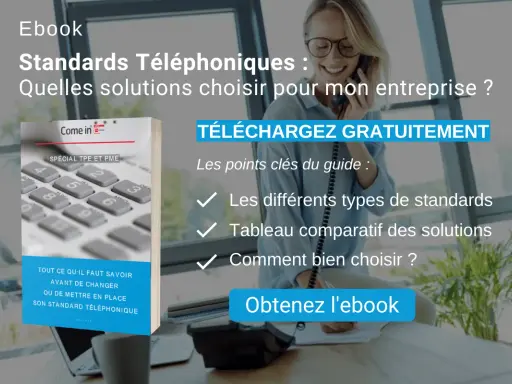 Ebook "Standards Téléphoniques" expliquant la définition et le choix d'une solution pour votre entreprise.
