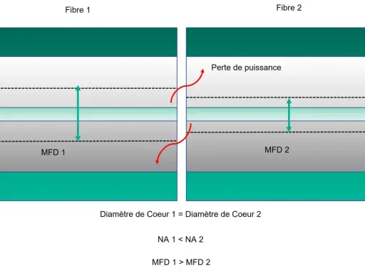 Comparaison de deux fibres optiques. Le diamètre de cœur est identique, mais la Fibre 2 subit une perte de puissance due à un MFD plus grand.