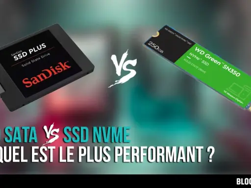 Comparaison entre un SSD SATA SanDisk et un SSD NVMe WD Green. La **SSD définition** est ici illustrée par deux technologies de stockage.