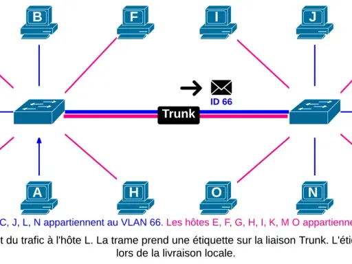 Schéma réseau montrant des ordinateurs connectés à des commutateurs via une liaison Trunk. L'hôte A communique avec L.