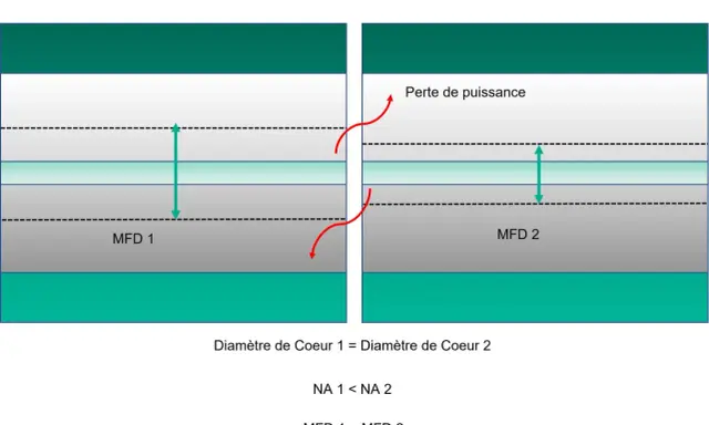 Comparaison de deux fibres optiques. Le diamètre de cœur est identique, mais la Fibre 2 subit une perte de puissance due à un MFD plus grand.