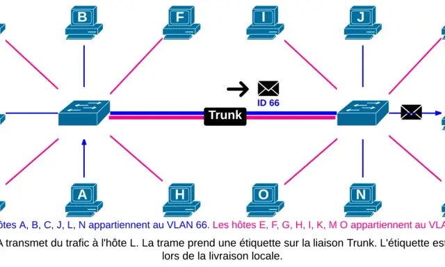 Schéma réseau montrant des ordinateurs connectés à des commutateurs via une liaison Trunk. L'hôte A communique avec L.