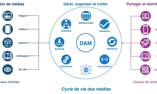 Schéma illustrant le cycle de vie des médias, de la création à la distribution, centré sur un système DAM.